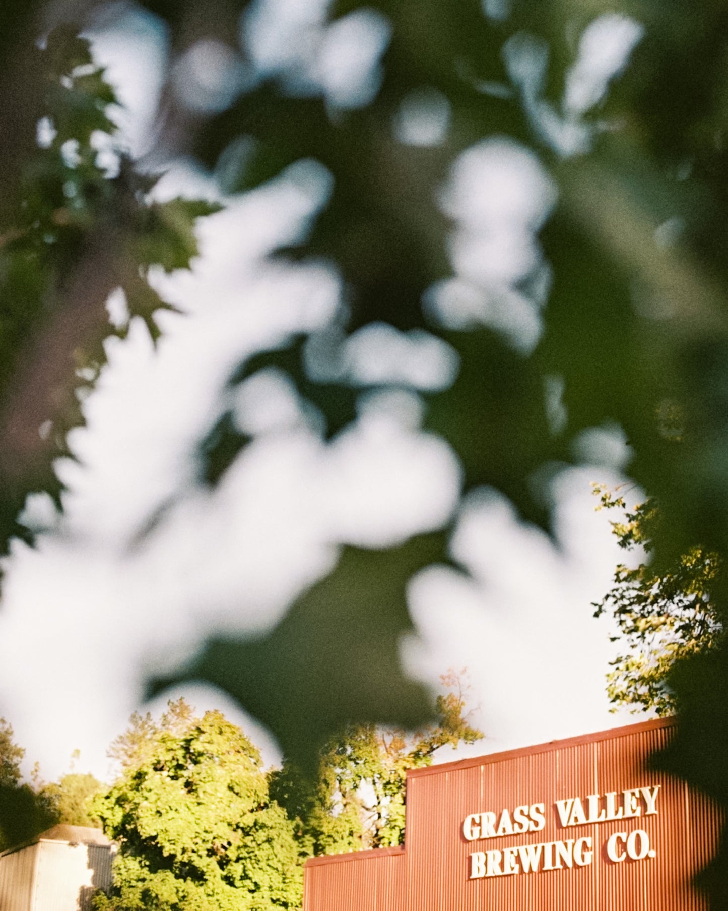 Brewery | Grass Valley